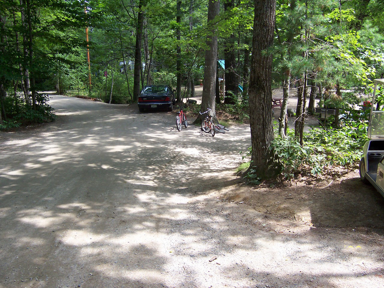 Danforth Bay Owls Head