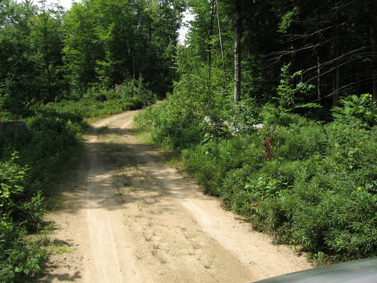 Danforth Bay Owls Head